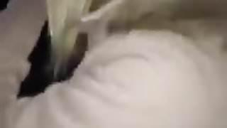 Chaudasse blonde n’aime pas mon sperme