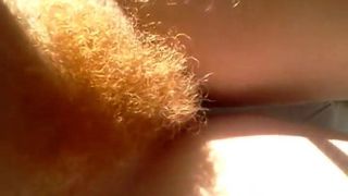 Belle chatte rousse naturelle